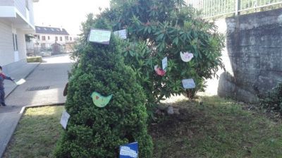 Preme para ver a foto ampliada