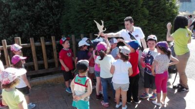 Preme para ver a foto ampliada