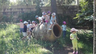 Preme para ver a foto ampliada