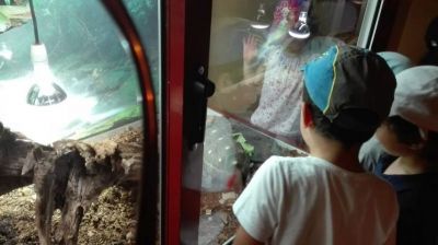 Preme para ver a foto ampliada