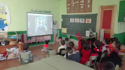 Preme para ver a foto ampliada