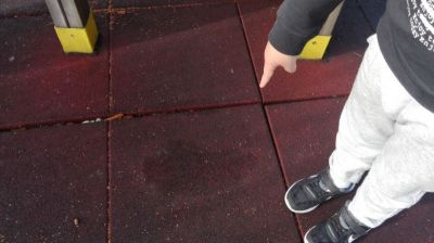 Preme para ver a foto ampliada