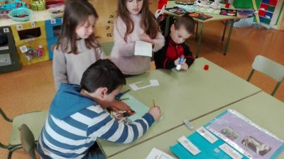 Preme para ver a foto ampliada