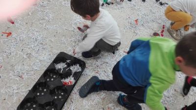 Preme para ver a foto ampliada