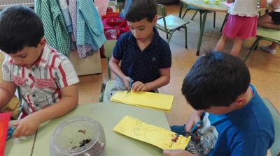 Preme para ver a foto ampliada