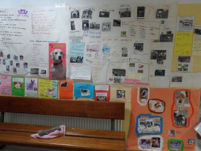 Preme para ver a foto ampliada