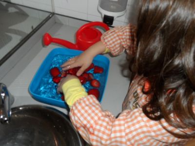 Preme para ver a foto ampliada