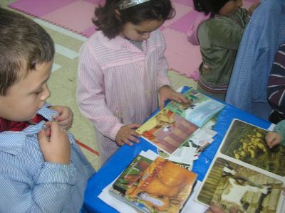 Preme para ver a foto ampliada