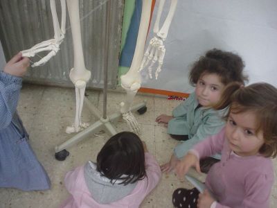 Preme para ver a foto ampliada