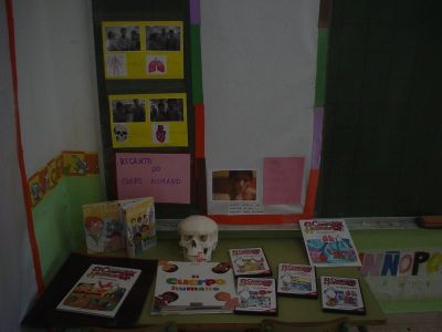 Preme para ver a foto ampliada