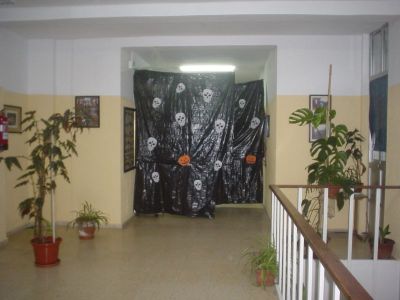 Preme para ver a foto ampliada