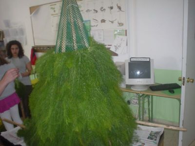 Preme para ver a foto ampliada