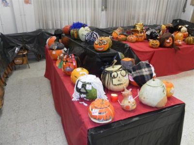 Preme para ver a foto ampliada