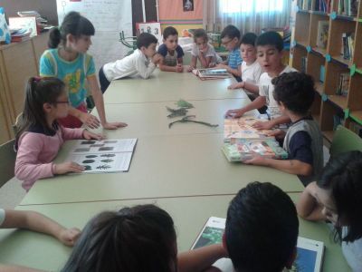 Preme para ver a foto ampliada