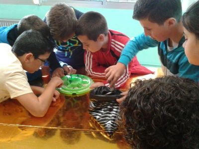 Preme para ver a foto ampliada