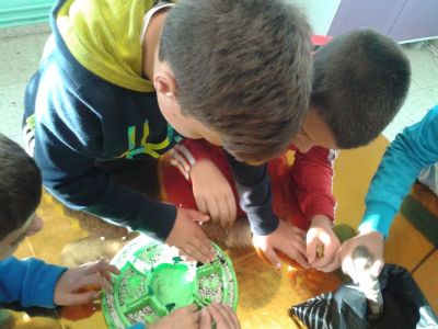 Preme para ver a foto ampliada