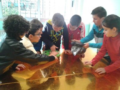 Preme para ver a foto ampliada