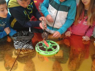 Preme para ver a foto ampliada