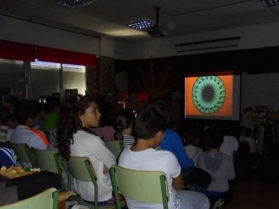 Preme para ver a foto ampliada