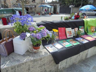 Preme para ver a foto ampliada