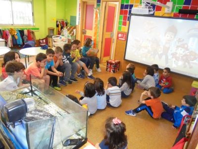 Preme para ver a foto ampliada