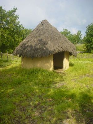 Preme para ver a foto ampliada