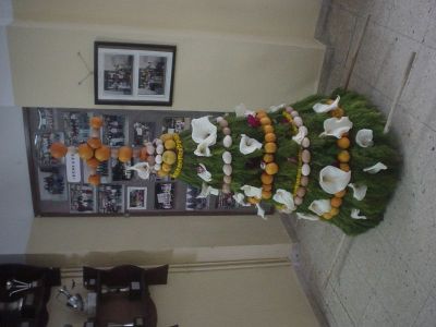 Preme para ver a foto ampliada