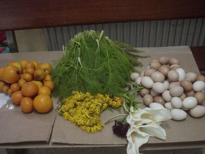 Preme para ver a foto ampliada