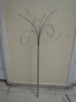 Preme para ver a foto ampliada