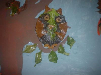 Preme para ver a foto ampliada