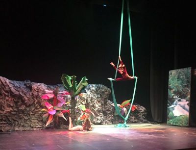 Preme para ver a foto ampliada