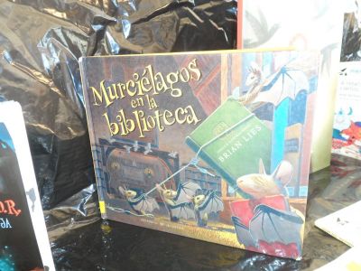 Preme para ver a foto ampliada