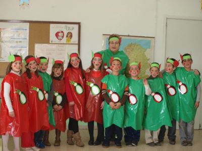 Preme para ver a foto ampliada