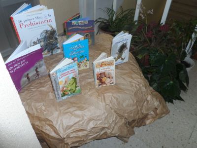 Preme para ver a foto ampliada