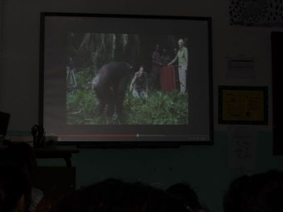 Preme para ver a foto ampliada