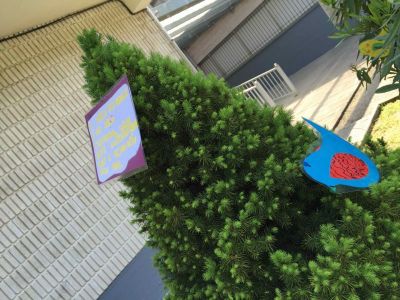 Preme para ver a foto ampliada