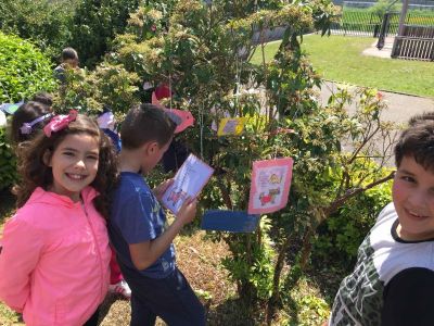 Preme para ver a foto ampliada