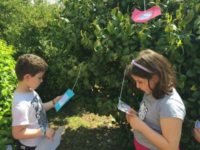 Preme para ver a foto ampliada