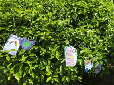 Preme para ver a foto ampliada