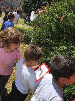 Preme para ver a foto ampliada