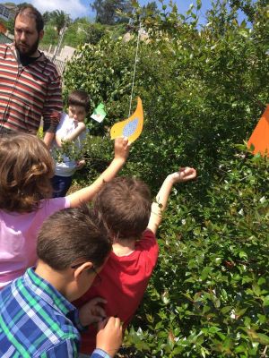 Preme para ver a foto ampliada