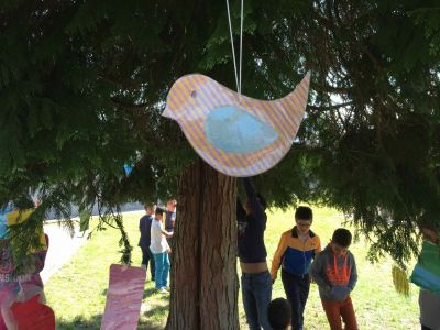 Preme para ver a foto ampliada