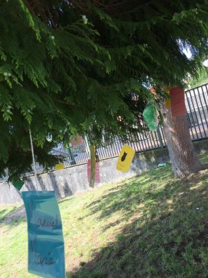 Preme para ver a foto ampliada