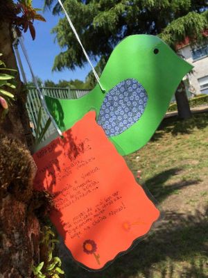 Preme para ver a foto ampliada