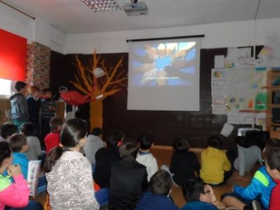 Preme para ver a foto ampliada