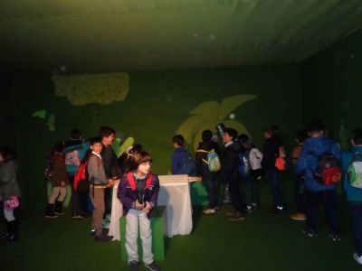 Preme para ver a foto ampliada