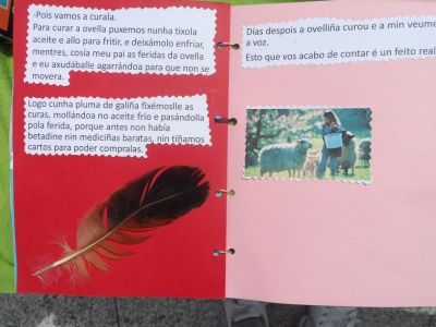 Preme para ver a foto ampliada