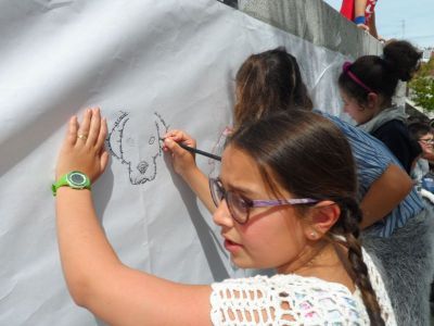 Preme para ver a foto ampliada