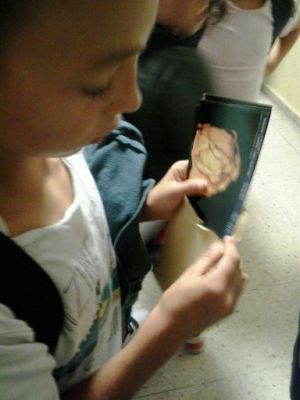 Preme para ver a foto ampliada