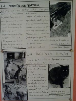 Preme para ver a foto ampliada